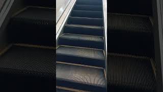 How to climb an escalator [upl. by Yeznil356]