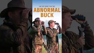 On the hunt for the Abnormal Buck roebuck hunting deerhunting [upl. by Jemina185]