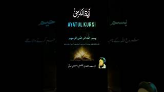 Ayatul Kursi ayatulkursi ayatulkursifastrecitation ayatulkursisurah shortvideo qarifazalameen [upl. by Aidnac]