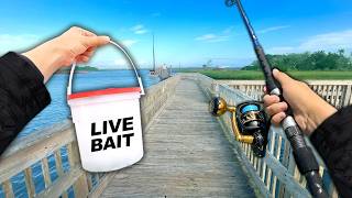 Eating Whatever I Catch Fishing a Public Dock Catch and Cook [upl. by Aicat]