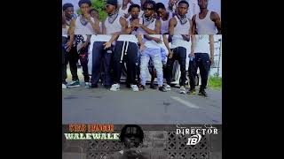 Walewale official video Teaser [upl. by Nivle]