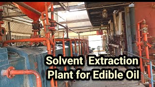 Solvent Extraction Plant Solvent Oil Extraction Plant for Edible Oil 9759633746 plant Operator [upl. by Anoik]