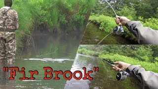 Catskills Fly Fishing quotFir Brookquot Catskills Series Part III [upl. by Ahtennek]