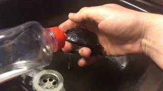 How to clean your sunglasses with dish soap and water glasses cleaning DIY [upl. by Ahsats134]