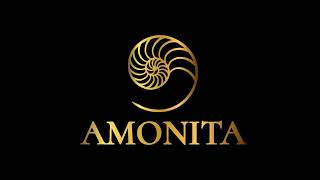 AMONITA  BEST OF 2022 [upl. by Karie469]