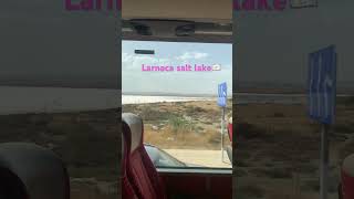 Larnaca salt lake 🇨🇾 Drive pass [upl. by Namzaj133]