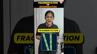 Fragmentation vs Regeneration in 60 Sec🔥 How do Organisms Reproduce Class 10 Cbse2024 10thScience [upl. by Lonna]