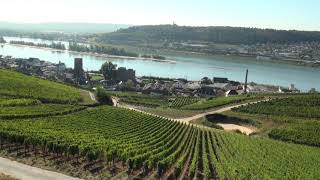 From Rüdesheim to Assmannshausen and back [upl. by Adilen]