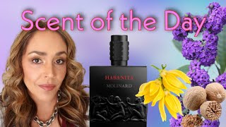 Scent of the Day Habanita by Molinard a floral powder bomb [upl. by Perreault]