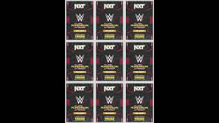 WWE Panini Adrenalyn XL 2024 [upl. by Noside188]