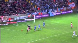 Steve Mandanda  Best Saves 20132014  Olympique De Marseille [upl. by Adelia228]