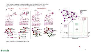 Metabolomics studies to elucidate the biochemistry underlying the effects of biostimulants on maize [upl. by Gewirtz]