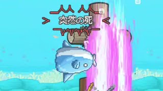 Aqua Paradiso FULL CLEAR MolaMola Ranking Dojo The Battle Cats [upl. by Cyrus141]