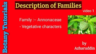 Annonaceae family vegetative characterspart1 [upl. by Ahsyak]