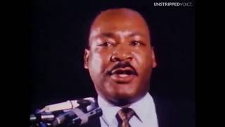 A Rare Collection of Martin Luther King Jr Speeches [upl. by Artek]