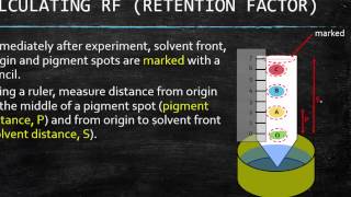 GR 12 Chromatography For Photosynthesis Science Tutorial Video [upl. by Jacobsohn]