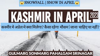 Kashmir in April  snowfall  snow in april 2023  Gulmarg kashmir [upl. by Anahpets]