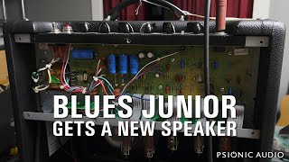 Blues Junior Gets a New Speaker [upl. by Imaon]