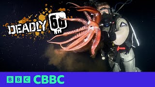 Top 5 Scariest Moments on Deadly 60 ☠️  CBBC [upl. by Astra]