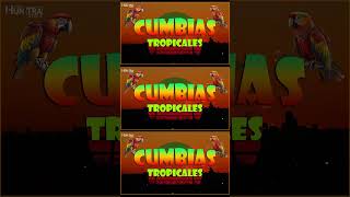 TROPICALES MIX PARA BAILAR EXITOS🎶CUMBIAS TROPICALES 2024💃🔆JUNIOR KLANLOS KARKISACAPULCO TROPICAL [upl. by Aisatal]