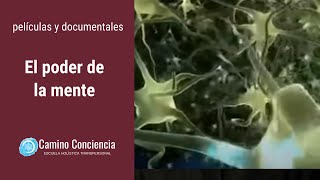 El PODER de la MENTE  FÃSICA CUÃNTICA  Camino Conciencia [upl. by Drahsar425]