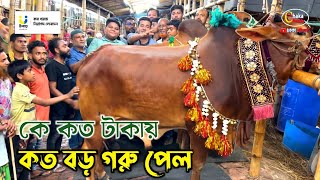 কার গরুর দাম কত কেমন হয়েছে জানতে ভিডিওটি দেখুন গাবতলী গরুর হাট ২০২৪ [upl. by Ferrel]