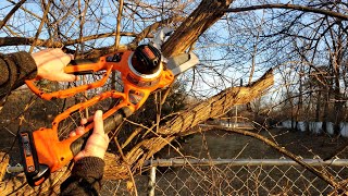 Black amp Decker 20V Cordless Alligator Lopper Review  Perfect For Tree Trimming amp Woodcutting [upl. by Liederman]