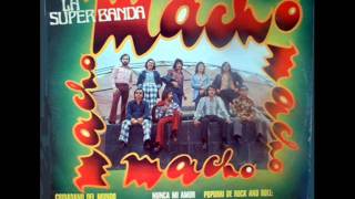 10 Banda Macho  No Quiero Estar Solo Just Dont Want To Be Lonelly Audio CD [upl. by Aneehsit]