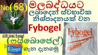 Fybogel in sinhala  ispaghula husk  fibre drink  Fybogel  ෆයිබොජෙල් ගැන දැනගමු [upl. by Atteragram50]