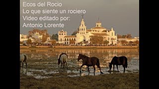 Ecos del Rocio  Lo que siente un rociero [upl. by Sou]