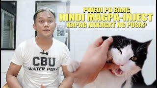 PWEDI BANG HINDI MAGPA INJECT NG ANTI RABIES VACCINE KAPAG NAKAGAT NG PUSA [upl. by Ecnaret497]