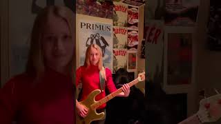 Primus 🦍 bassistsofyoutube primus [upl. by Rolland15]