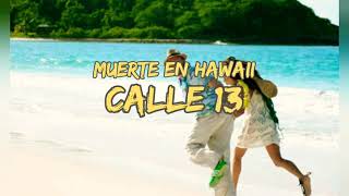 Calle 13  Muerte En Hawaii Letra [upl. by Nosremaj]