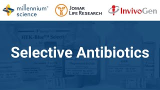 Selective Antibiotics  InvivoGen [upl. by Ahsa]