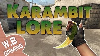 CSGO  Karambit Lore All Animations [upl. by Aliahkim]