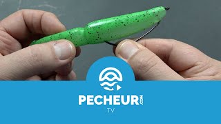 Quelle taille dhameçon pour quelle taille de leurre souple  Tutoriel Pecheurcom [upl. by Adam85]