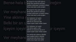 Ferman AkdenizMeyhaneci Karaoke [upl. by Lazaro]