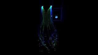 The Fiber Optic Dress in Action [upl. by Herrle484]