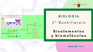 BIOELEMENTOS Y BIOMOLÉCULAS [upl. by Akima242]