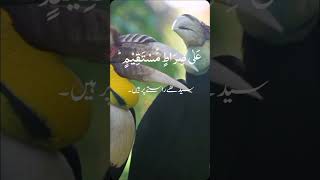 surah Yasin with Urdu translation surah recitation [upl. by Richers]