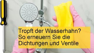 Wasserhahn tropft Dichtungen und Ventile erneuern [upl. by Audris]