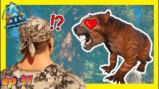 ▶️Cómo Domesticar un THYLACOLEO🐯3️⃣1️⃣ El Primer Superviviente  Ark Survival Ascended [upl. by Ahsienek]