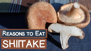 2 Big Reasons to Eat Shiitake Mushrooms  Vitamin D Source [upl. by Anuala387]