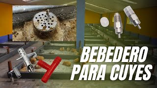 Como instalar bebedero automático para cuyes [upl. by Lareine]