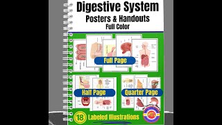 Digestive System Posters and Handouts Preview Video [upl. by Darees68]