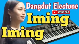 IMING IMING  DANGDUT LAWAS KOPLO  ELECTONE PLUS KRB MUSIKkowipro [upl. by Lleraj]