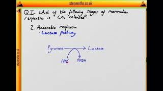 IMAT 2013  Q39  Bio  CO2 Release In Respiration  Worked Solution [upl. by Miof Mela139]