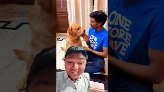 English wali mam ko bula dog comedy funny doglover prank prankkids funnymoment [upl. by Kandace]