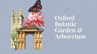 Discover Oxford Botanic Garden amp Arboretum [upl. by Powel]