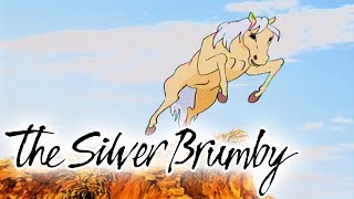 The Silver Brumby  Episode 7  Against The Wind  HD  Full Episode  Videos For Kids [upl. by Christye]